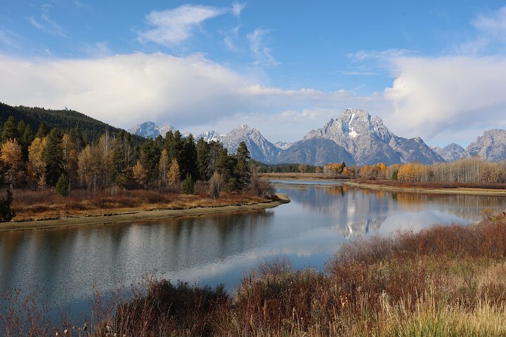 Yellowstone Full Day Tours