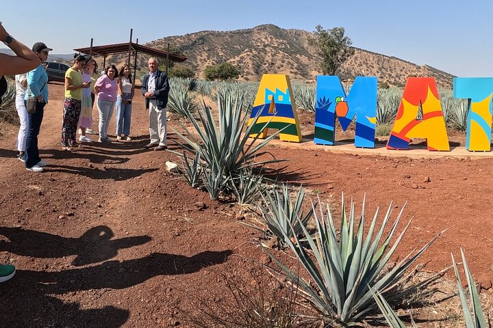 José Cuervo Tequila Tour & Agave Fields from Guadalajara