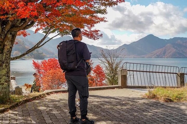 Tokyo: Customized Mt. Fuji & Hakone Sightseeing Private Day Trip