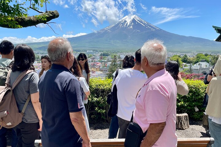 Tokyo: Customized Mt. Fuji & Hakone Sightseeing Private Day Trip