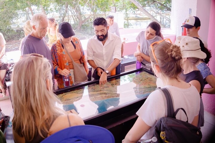 Excursion to Celestun Biosphere and Beach Day from Merida
