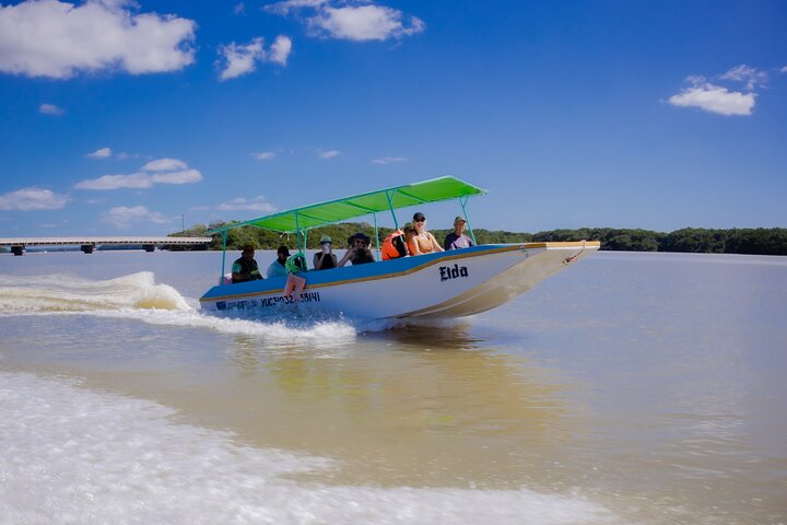 Excursion to Celestun Biosphere and Beach Day from Merida