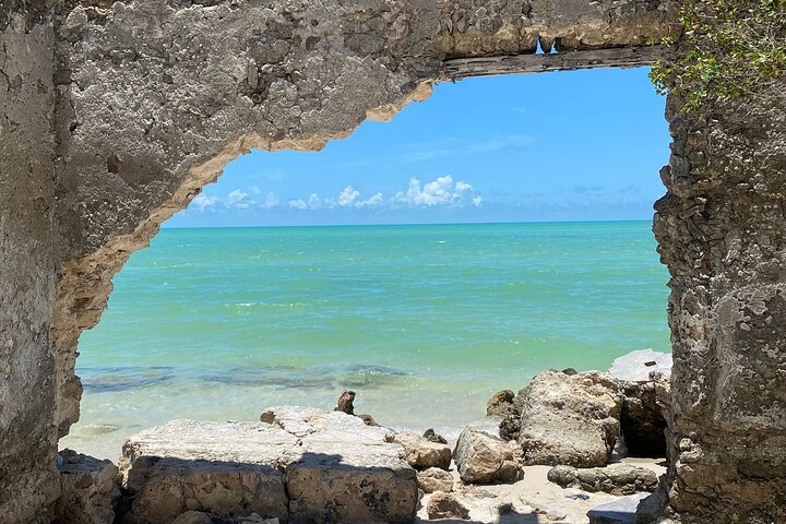 Excursion to Celestun Biosphere and Beach Day from Merida