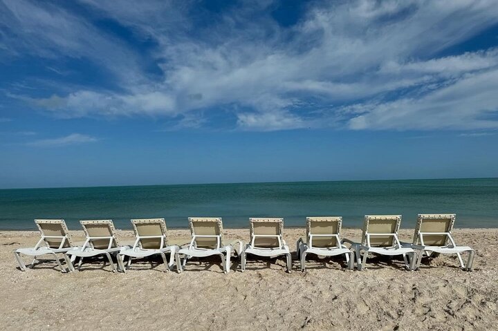 Excursion to Celestun Biosphere and Beach Day from Merida