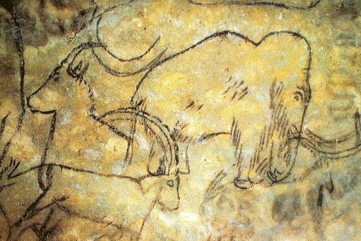 Private Full Day Prehistory and Paleolithic Art from Sarlat