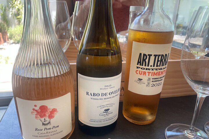 Discover Wine and Olive Oil Making Process