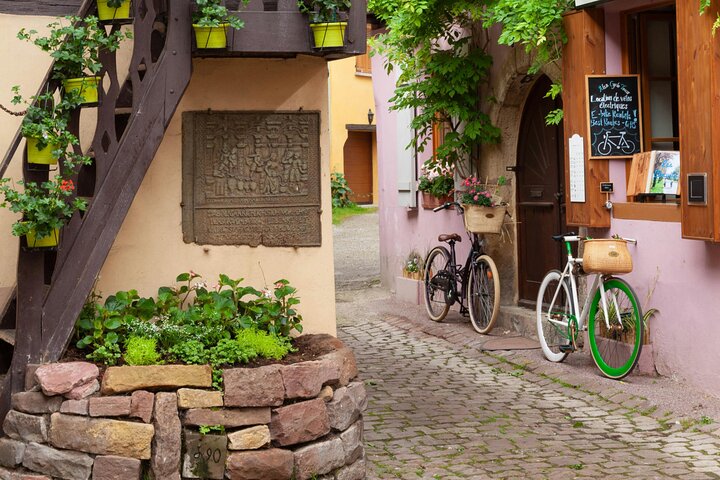 Price instead: From Strasbourg to Château ,Riquewihr and Colmar