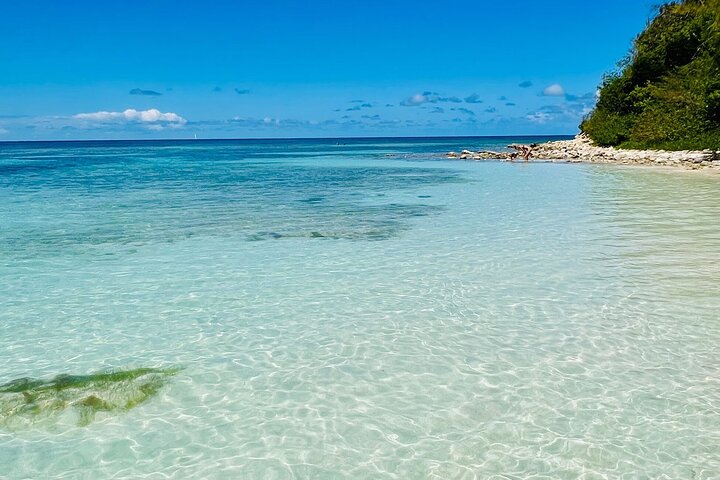 6h Ultimate Antigua Tour: Stingray City, Beach & Local Lunch