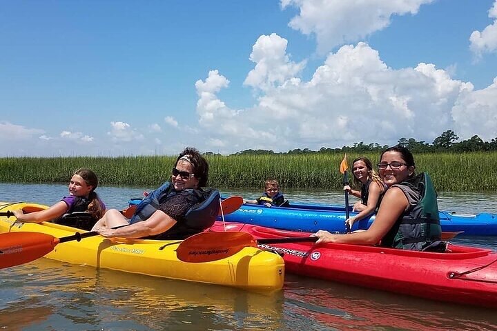 2 Hour Kayak Hilton Head Dolphin and Nature Tour