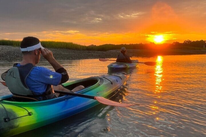 2 Hour Kayak Hilton Head Dolphin and Nature Tour