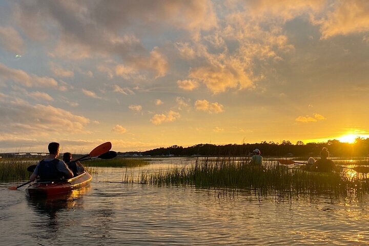 2 Hour Kayak Hilton Head Dolphin and Nature Tour