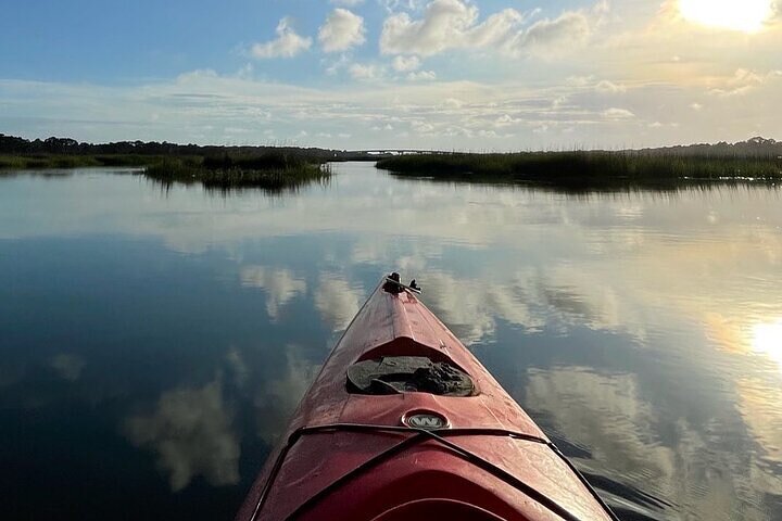 2 Hour Kayak Hilton Head Dolphin and Nature Tour