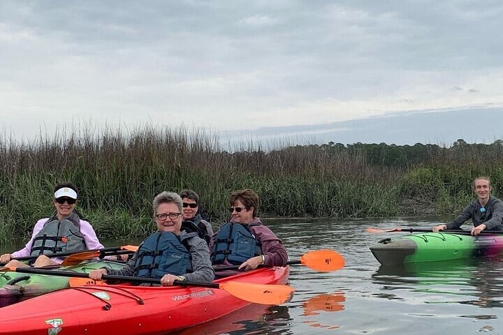2 Hour Kayak Hilton Head Dolphin and Nature Tour
