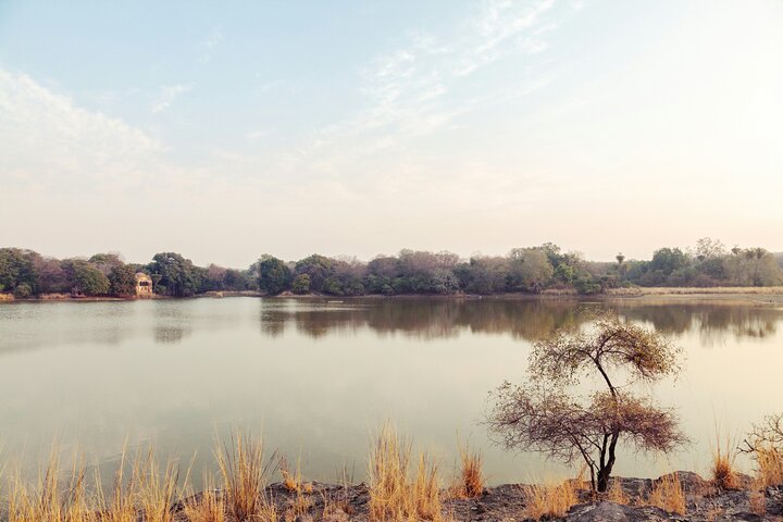 Ranthambore Tiger Safari in Jeep or Canter with Pickup