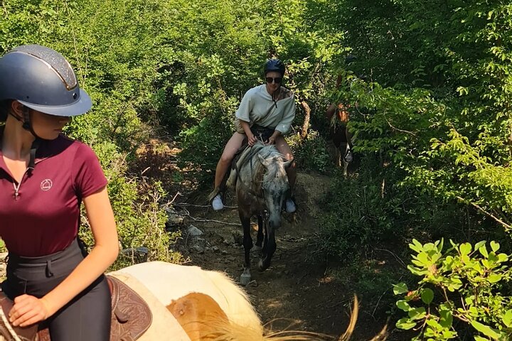 Amazing Horse Riding Experience at Vjosa National Park in Permet