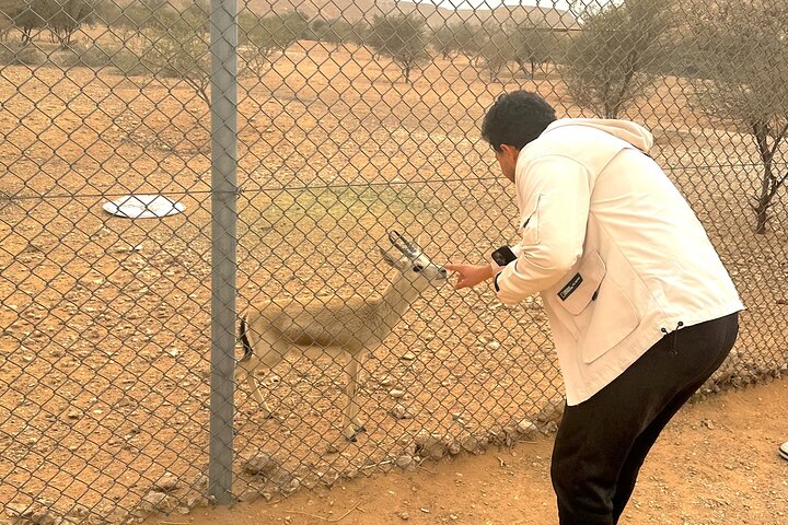 Sunset Edge of The World & Gazelle Reserve 4x4 Adventure: Riyadh