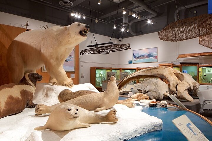 Fairbanks Top City Highlights Tour Summer/Fall