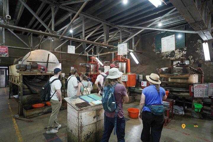 Munnar Tea Trail Tour with Factory Experience ( By Munnar Info)
