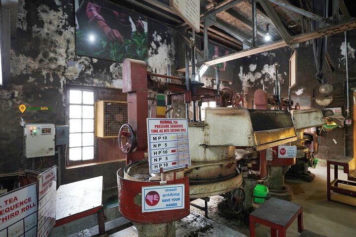 Munnar Tea Trail Tour with Factory Experience ( By Munnar Info)