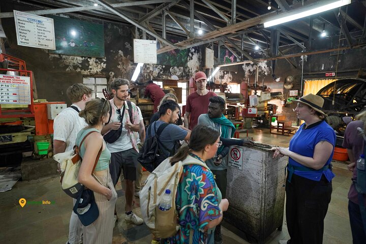 Munnar Tea Trail Tour with Factory Experience ( By Munnar Info)