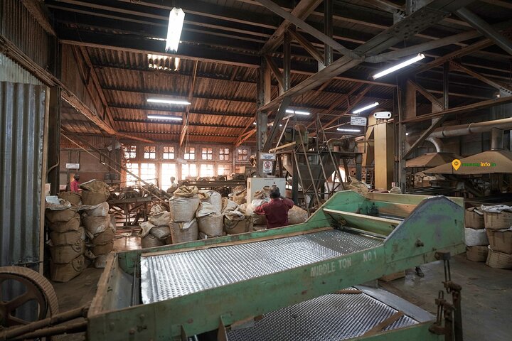 Munnar Tea Trail Tour with Factory Experience ( By Munnar Info)