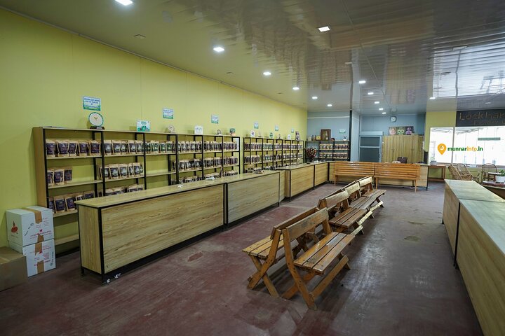 Munnar Tea Trail Tour with Factory Experience ( By Munnar Info)