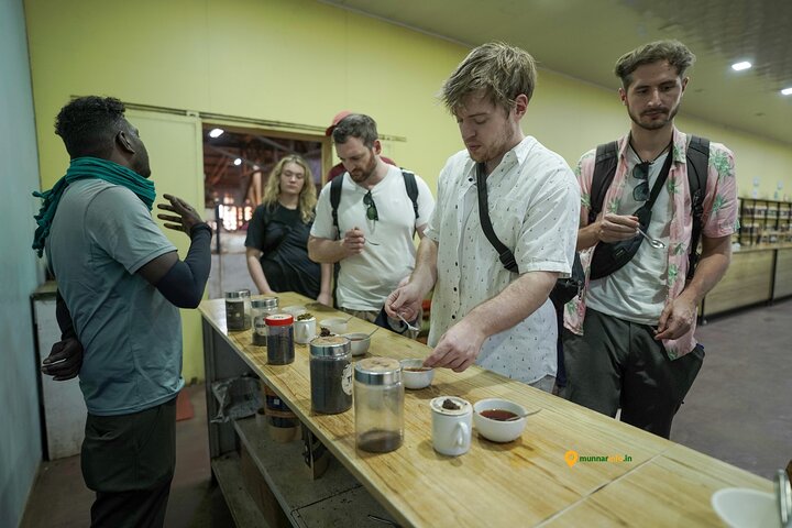 Munnar Tea Trail Tour with Factory Experience ( By Munnar Info)
