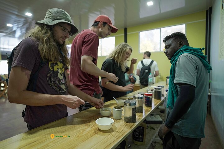 Munnar Tea Trail Tour with Factory Experience ( By Munnar Info)