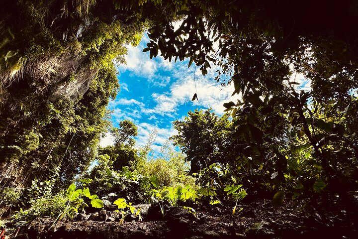 Tahiti, 4h30 Guided Tour, East and West Coast of Tahiti Nui