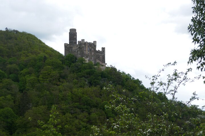 Koblenz to UNESCO World Heritage Site Upper Middle Rhine Valley