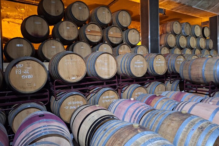 PRIVATE DOURO WINE EXPERIENCE An Immersive Full-Day Journey