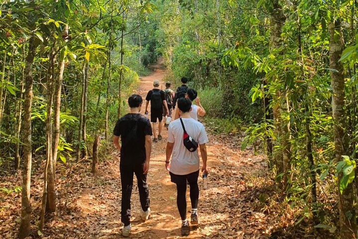 Khao Yai Waterfalls and Wilderness Private Chartered Tour