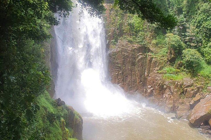 Khao Yai Waterfalls and Wilderness Private Chartered Tour