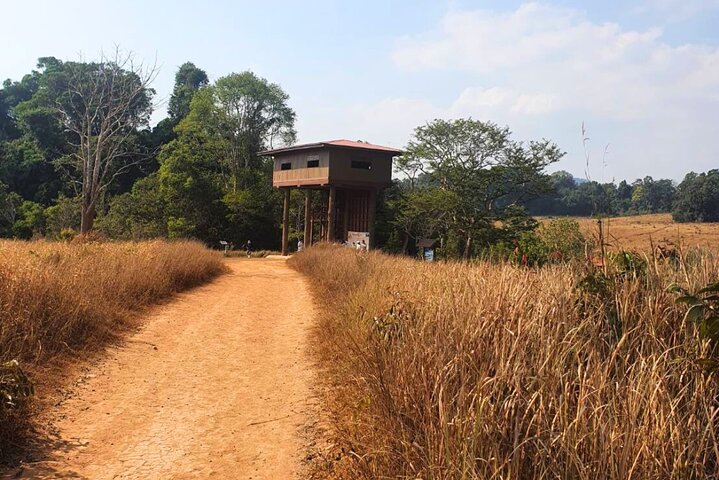 Khao Yai Waterfalls and Wilderness Private Chartered Tour