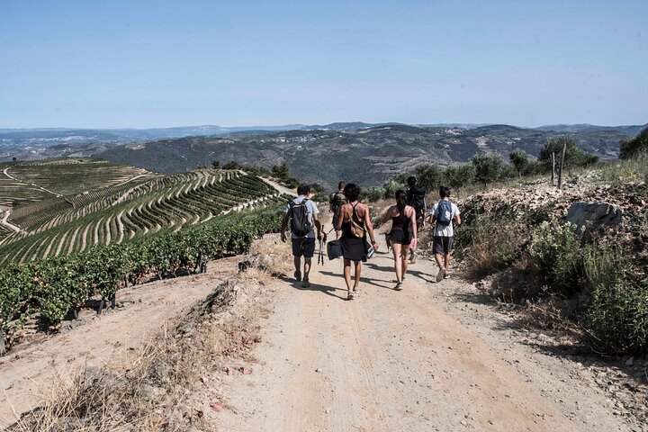 PRIVATE DOURO WINE EXPERIENCE An Immersive Full-Day Journey