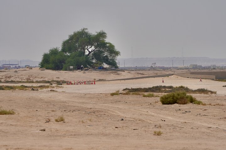 Manama : Day from South to North to Discover Bahrain