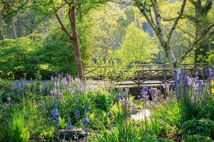 RHS Garden Rosemoor