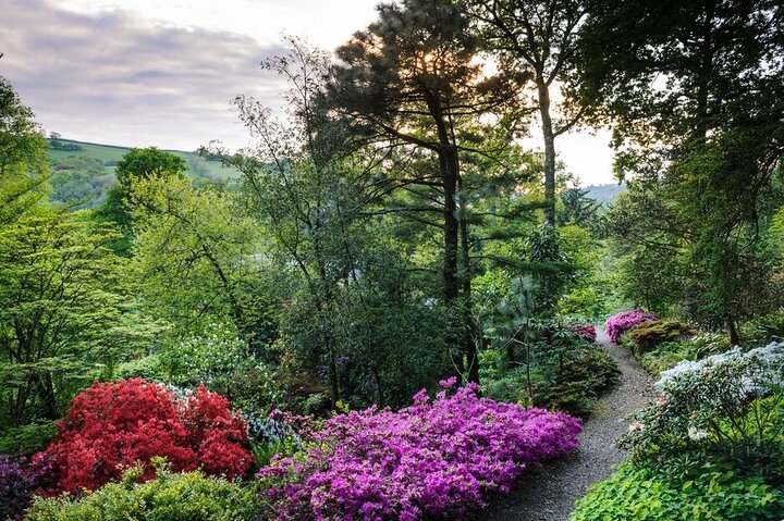 RHS Garden Rosemoor