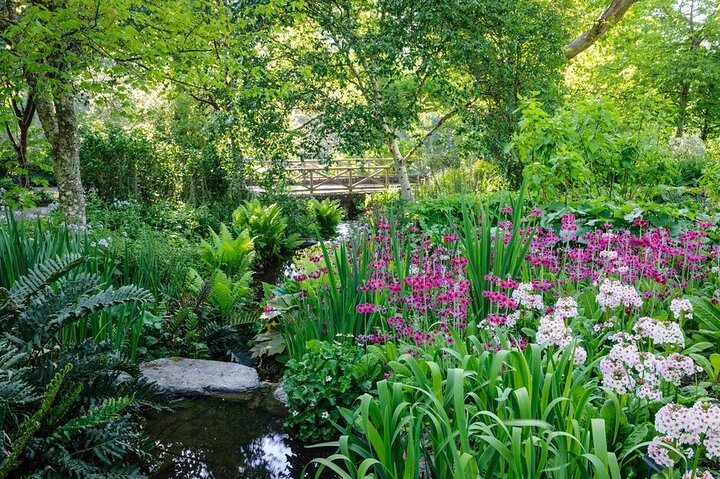 RHS Garden Rosemoor