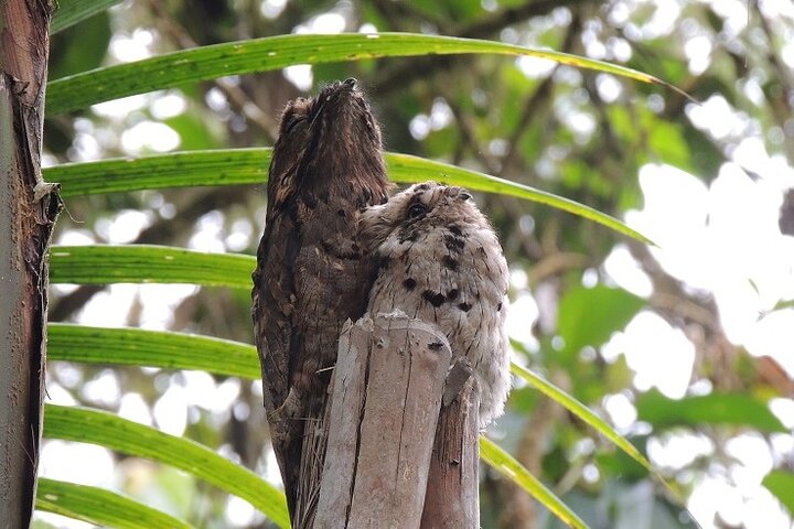 Mindo Cloud Forest Private Day Tour