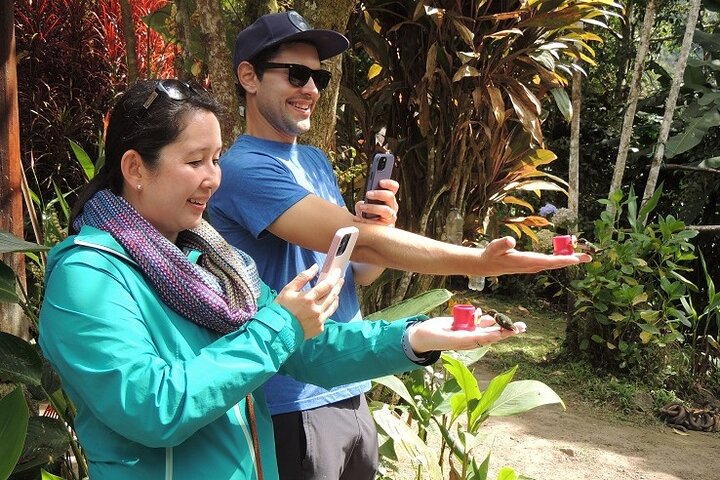 Mindo Cloud Forest Private Day Tour