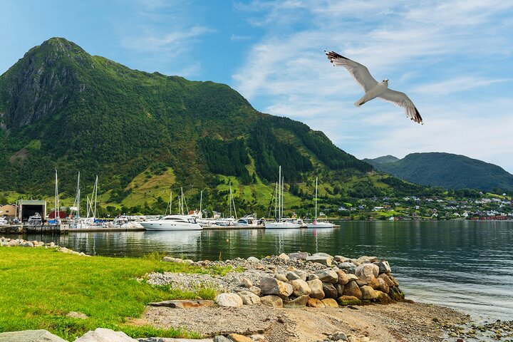Bergen: Bondhus Glacier Lake & National Park w/Lunch in Rosendal
