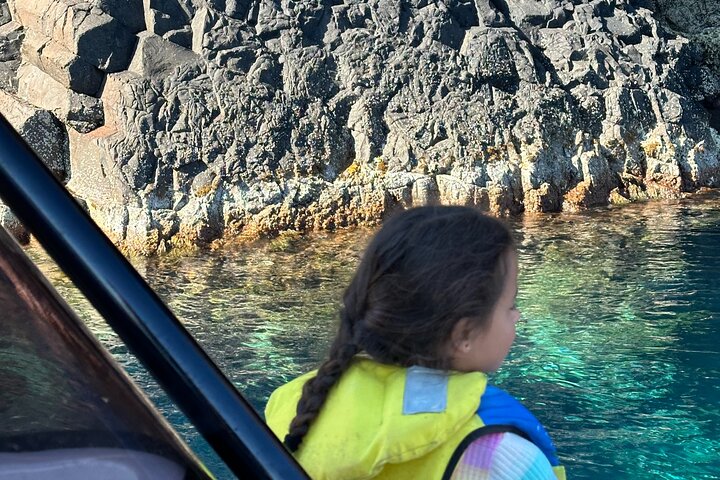 Small Committee Tour in Scandola Reserve