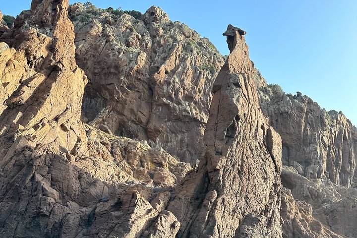 Small Committee Tour in Scandola Reserve