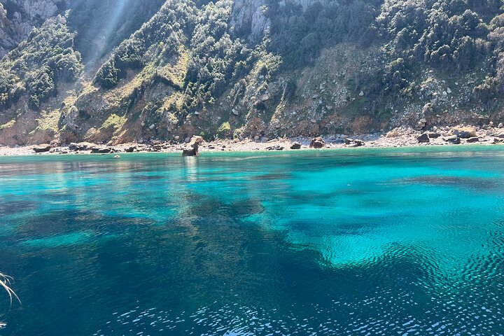 Small Committee Tour in Scandola Reserve