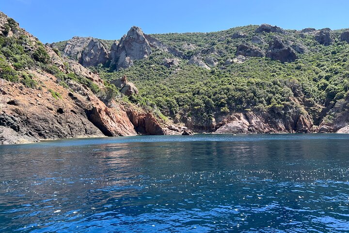 Small Committee Tour in Scandola Reserve