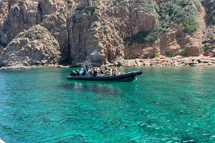 Small Committee Tour in Scandola Reserve