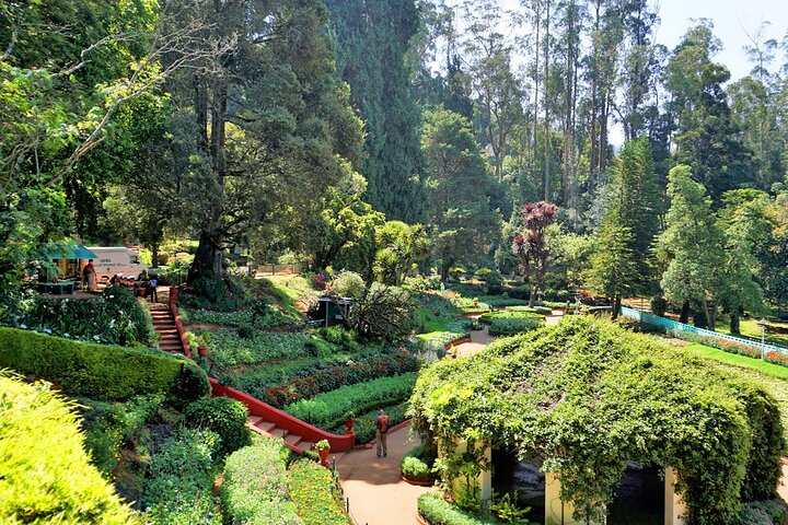 Coimbatore to Ooty Day Trip - Explore A Perfect Hill Station