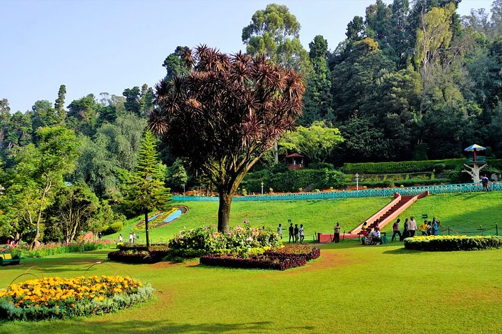 Coimbatore to Ooty Day Trip - Explore A Perfect Hill Station