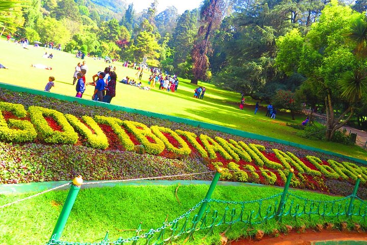 Coimbatore to Ooty Day Trip - Explore A Perfect Hill Station